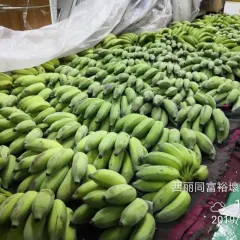 青米蕉 15斤/箱