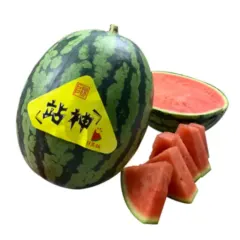 战神甘美无籽西瓜 4枚/箱约28斤