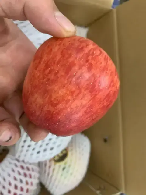 嘎蹦脆苹果天地盖大箱