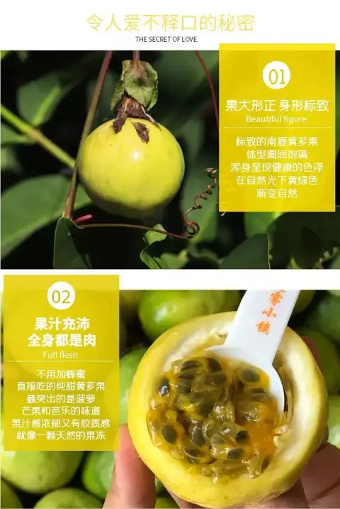 百香果（果王 有点花斑）