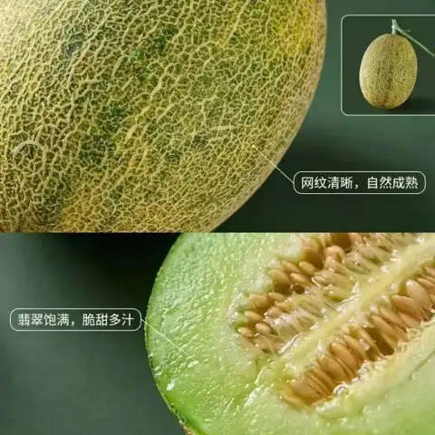 青帝冰川脆蜜瓜
