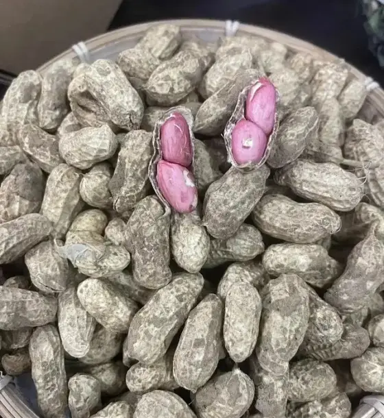 生态红皮鲜花生