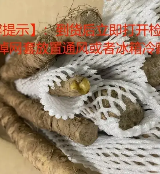 温县铁棍垆土山药（光碳肥 带土）