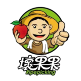 坏果果商城