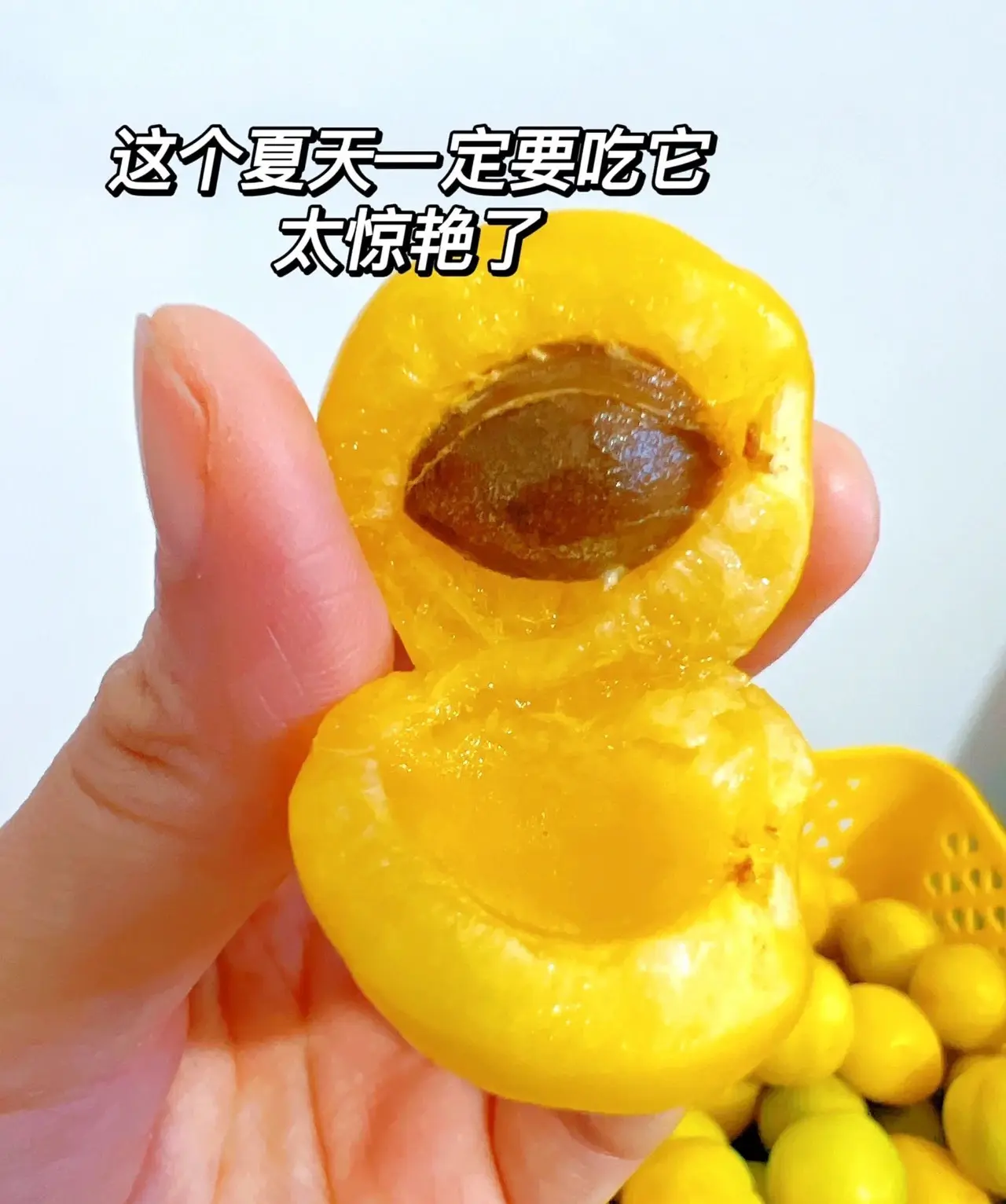 新疆轮台小白杏（杏香浓郁/一杏两吃）