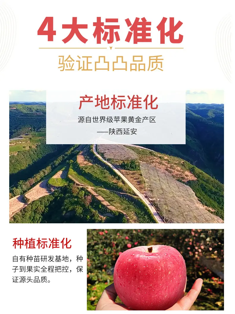 皮薄爽脆的中国红苹果（262项农残检测未检出！）