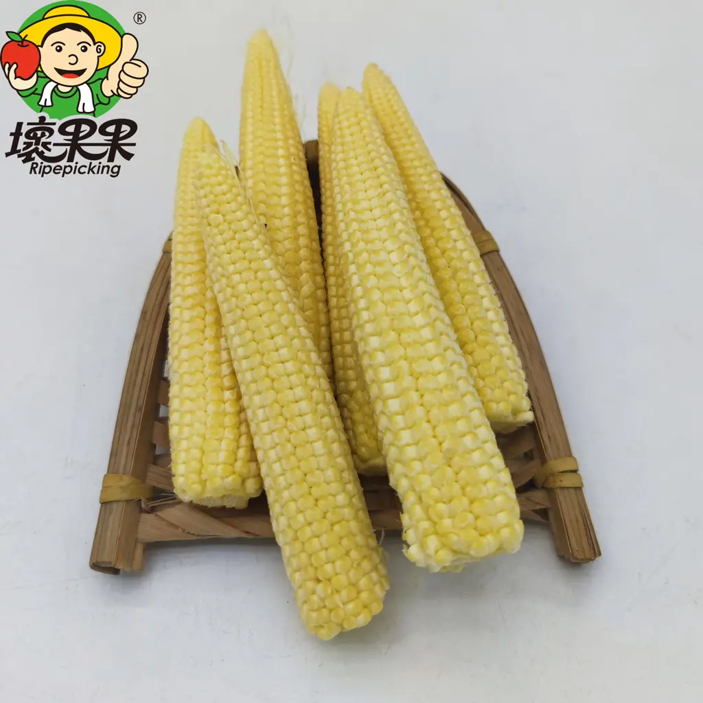 水果甜的玉米笋
