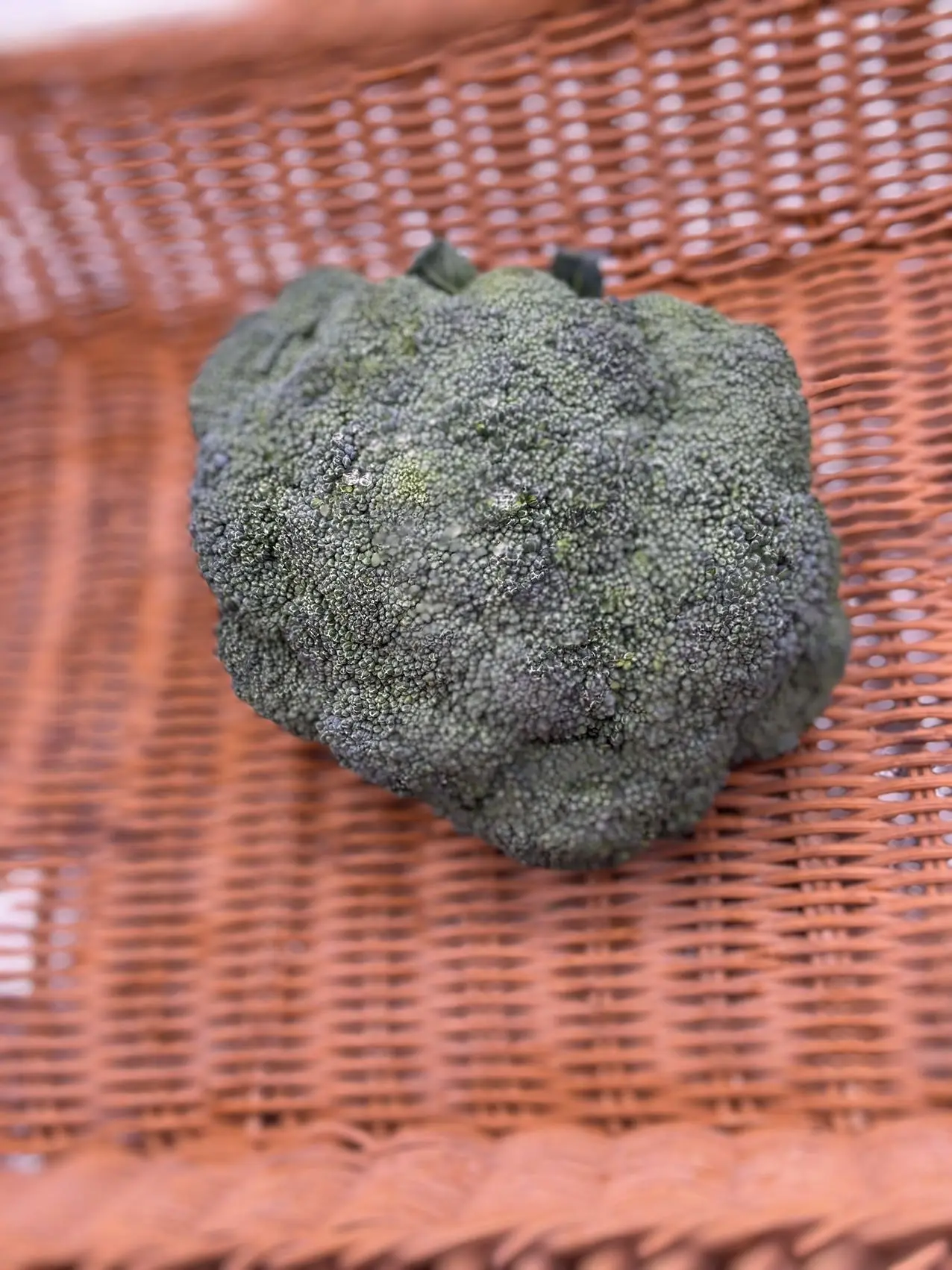生态西蓝花（西兰花）