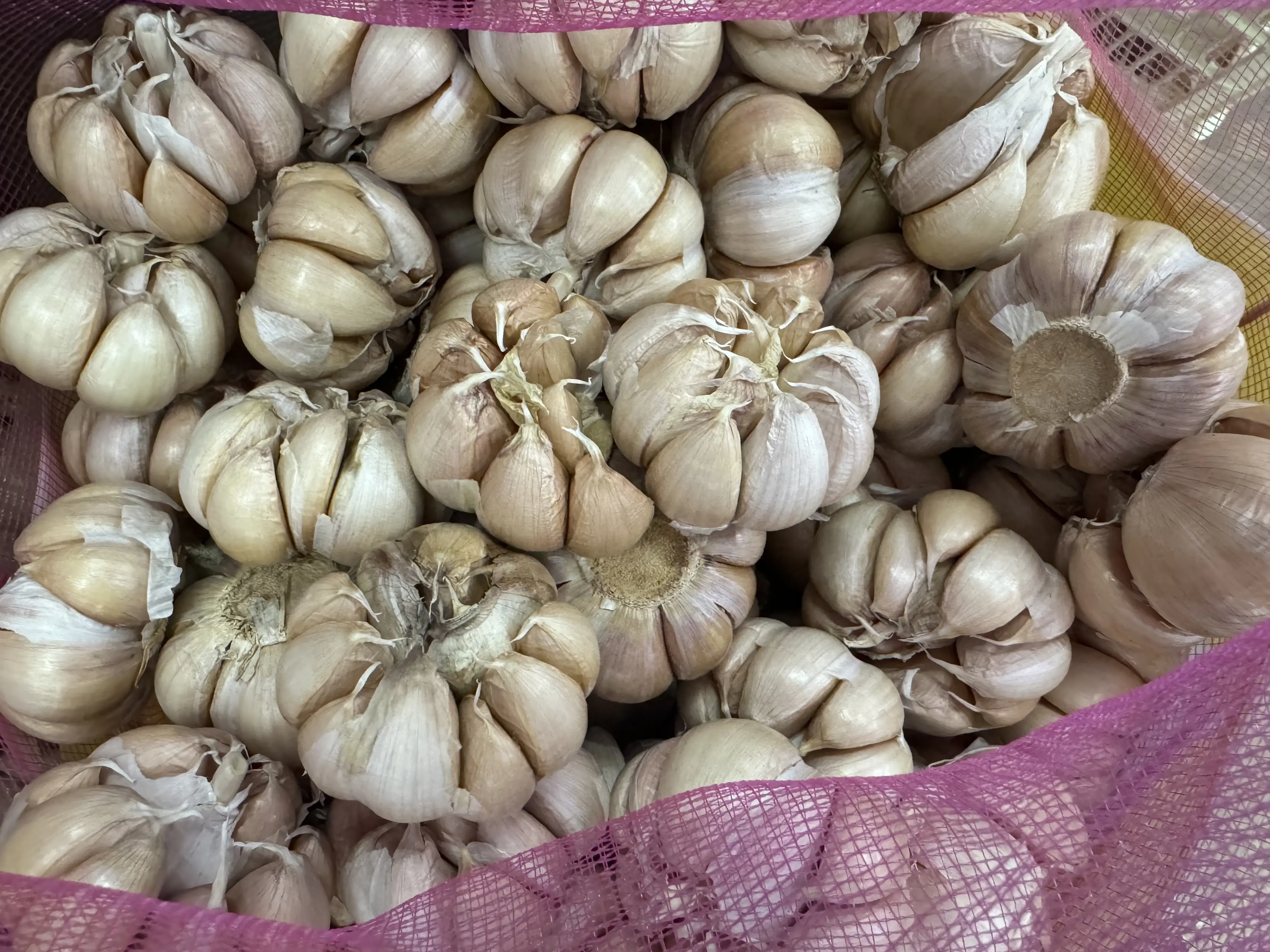 精选生态大蒜头（蒜瓣）