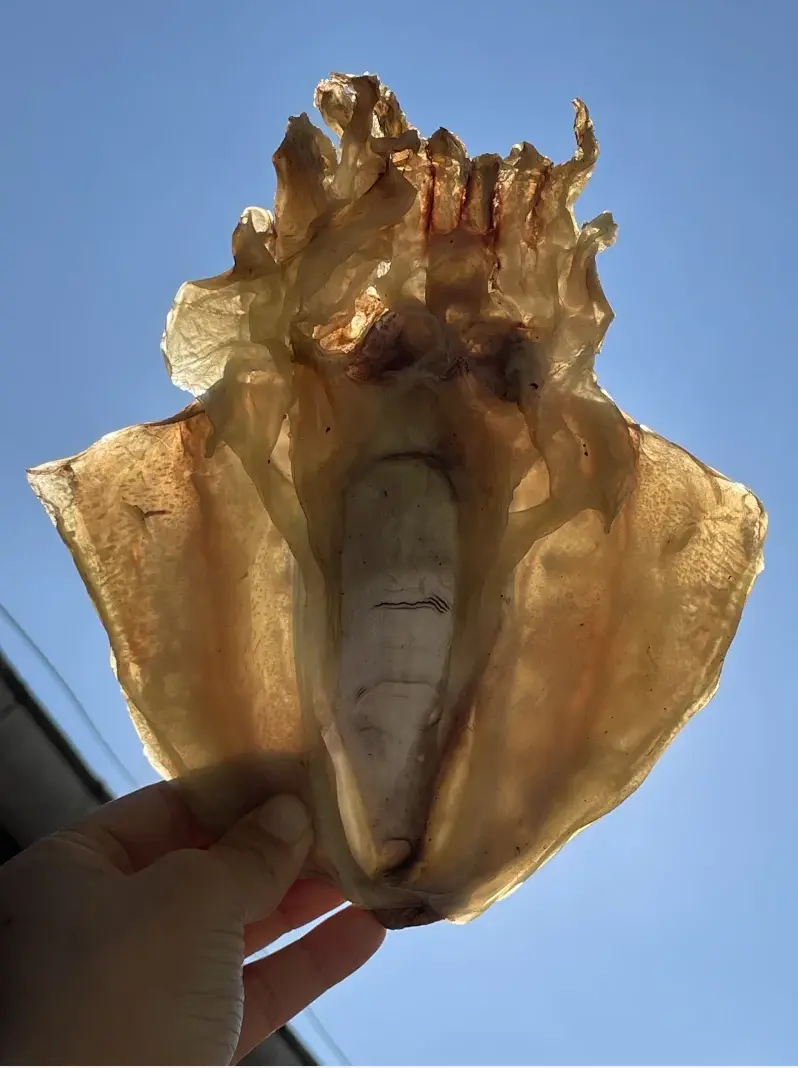 墨鱼干