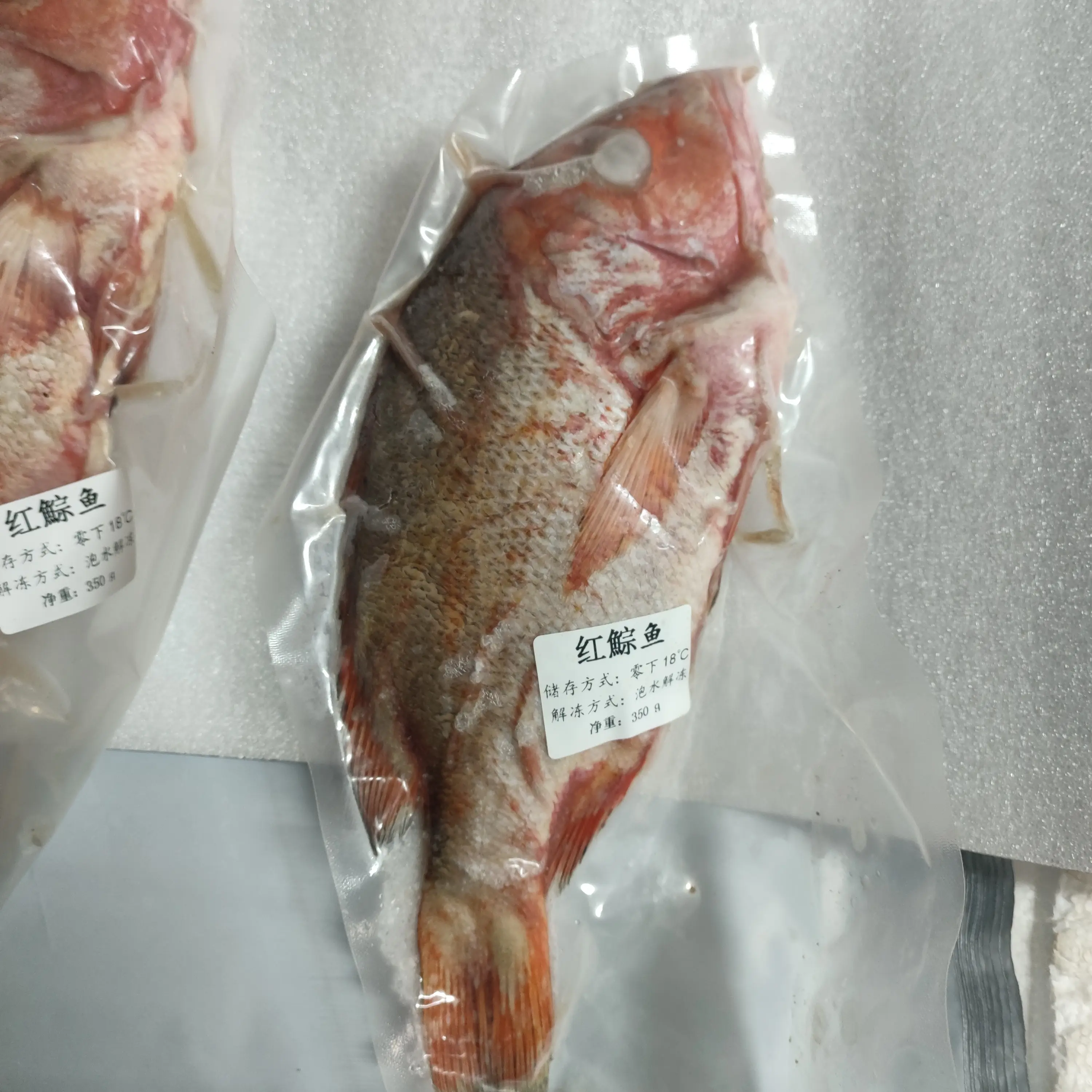 红棕鱼（散称）