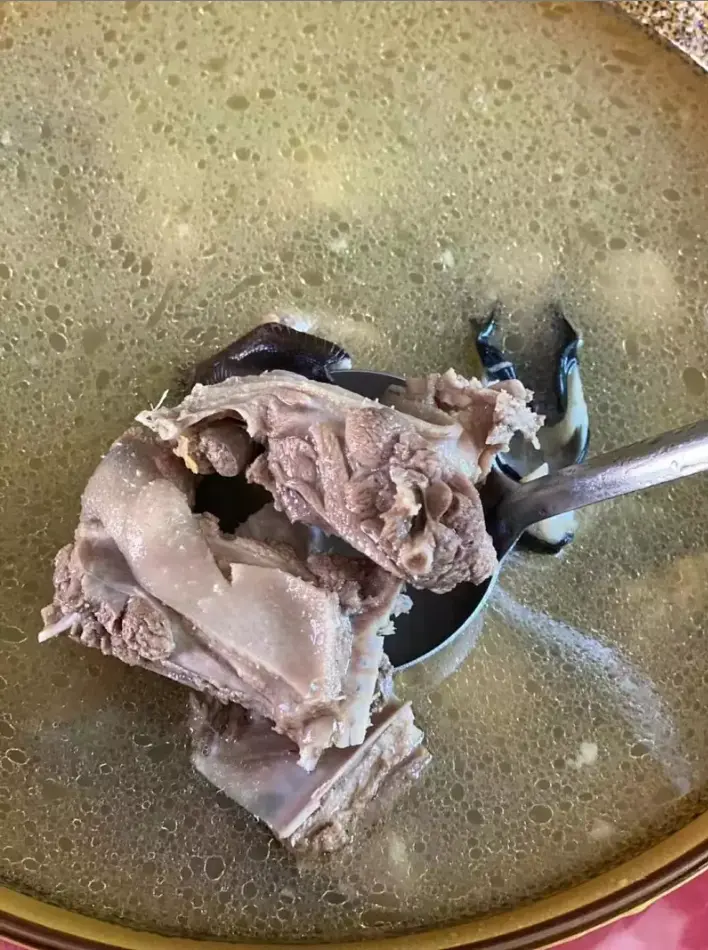 白鹭鸭