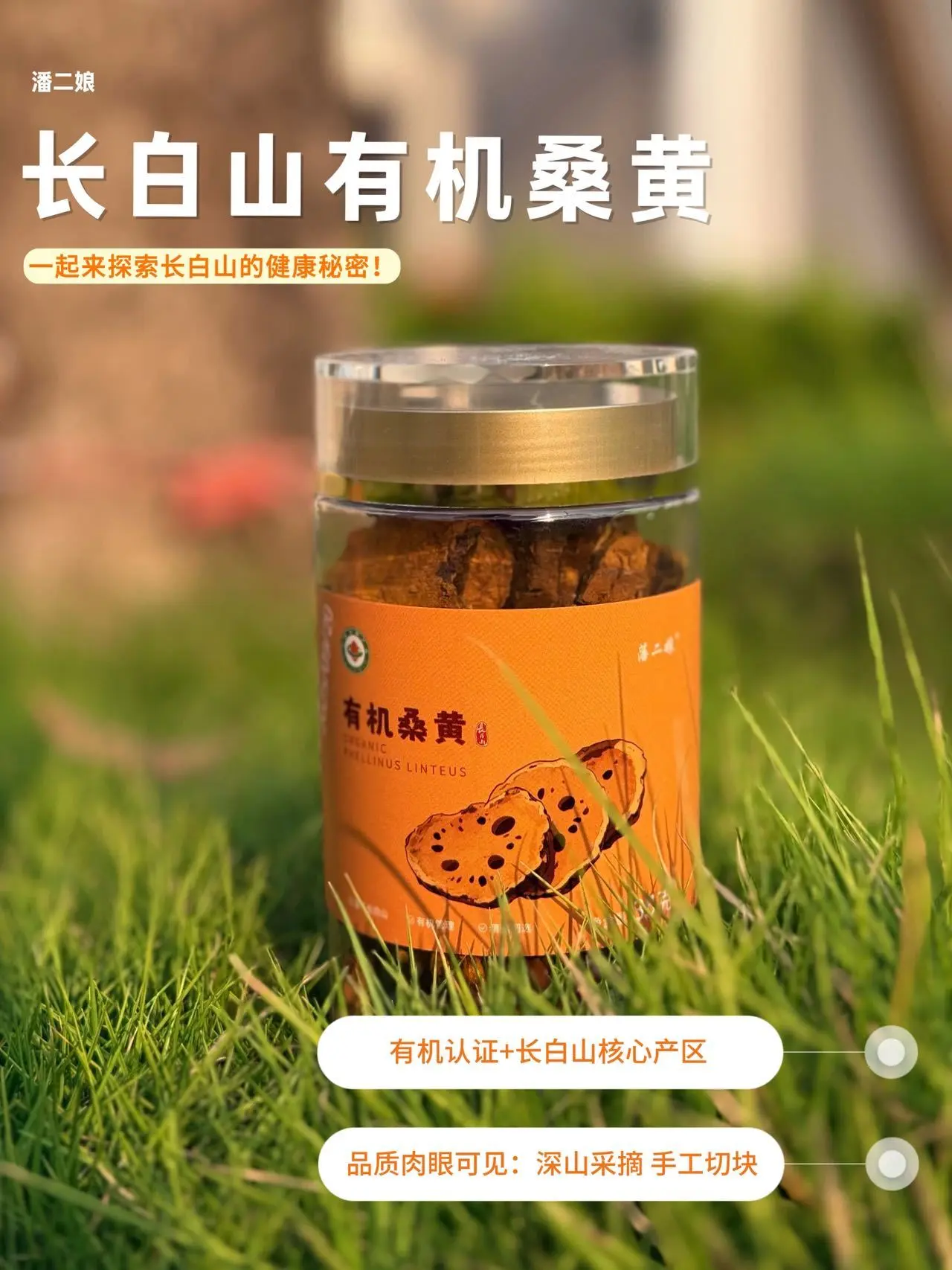 长白山有机桑葚
