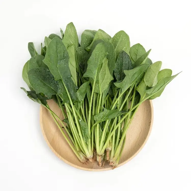 清香鲜美的30菠菜（（205项农残检测未检出）
