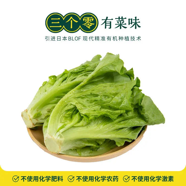 三个零意大利生菜