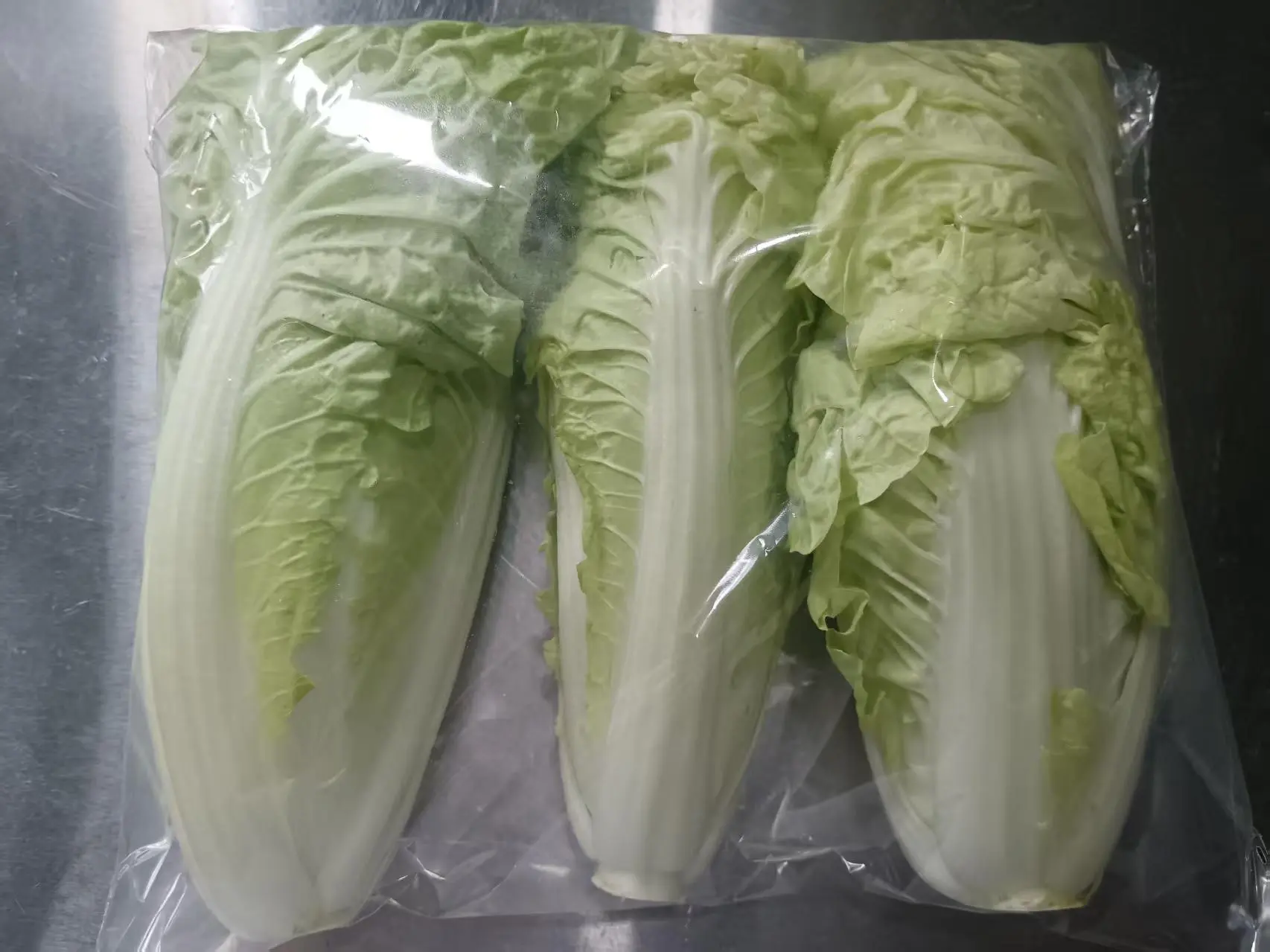 有机黄芽白