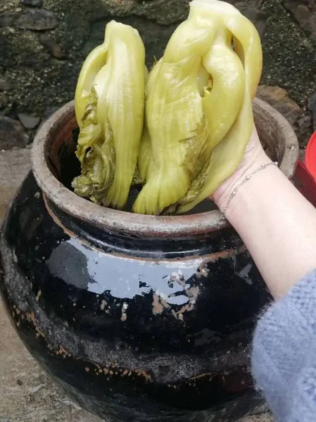 农家土酸菜-无盐无添加防腐剂