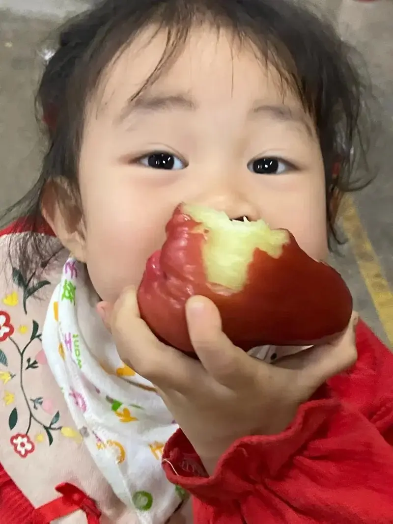 三亚高山莲雾真好吃(有机种植方式)