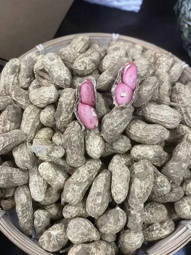 生态红皮鲜花生